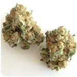 Шишки "White Widow" (Белая вдова) Гидропоника - Бошка VHQ в Муроме Шишки "White Widow" (Белая вдова) Гидропоника - Бошка VHQ в Муроме